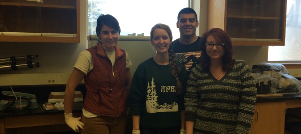 Undergrads in the New Lab